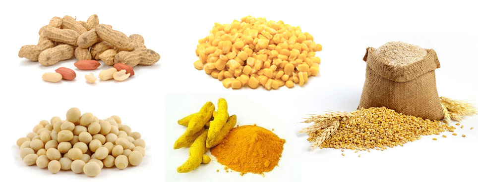 DHANIYA, MAIZE, GUARGUM, RMSEED, HALDI