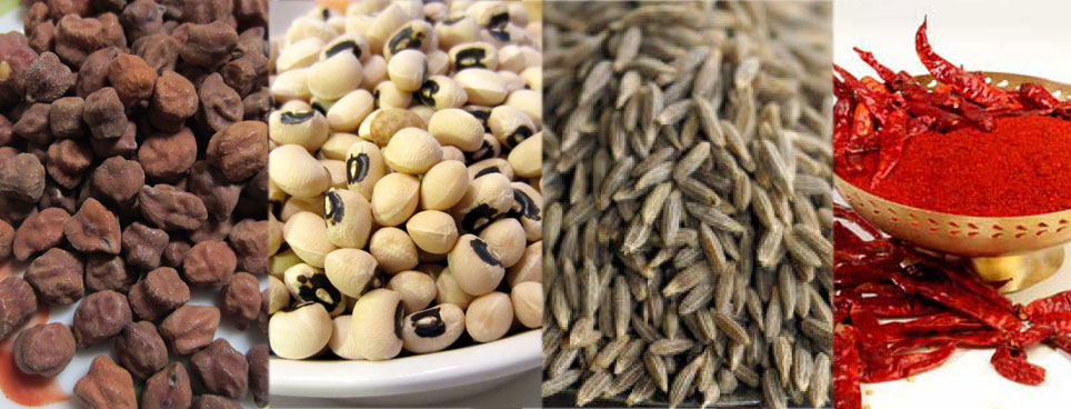 CHANA, GUARSEED,RED CHILLI, JEERA,